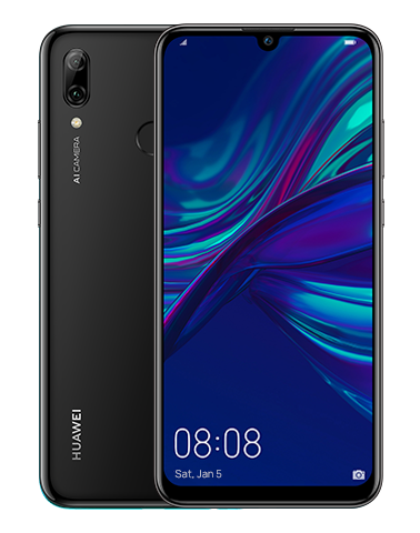 P Smart 2019